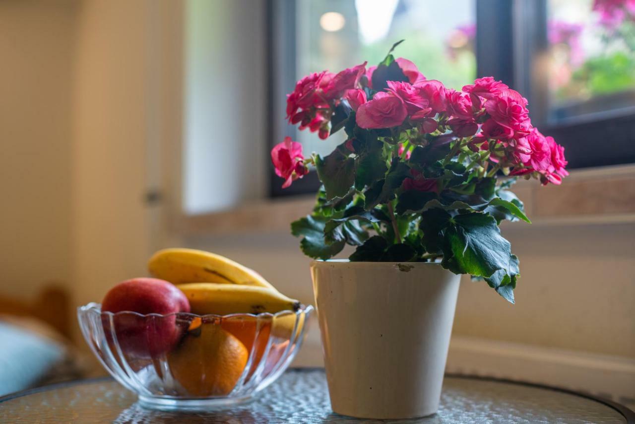 Apartament Ewa Zakopane Eksteriør bilde